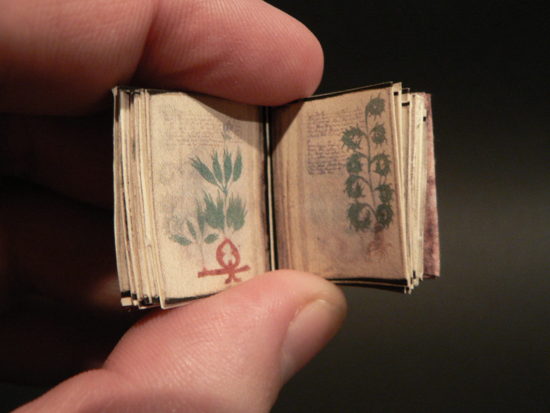 Training an AI on Ancient Undeciphered Texts: What I Wish I DIDN'T Learn